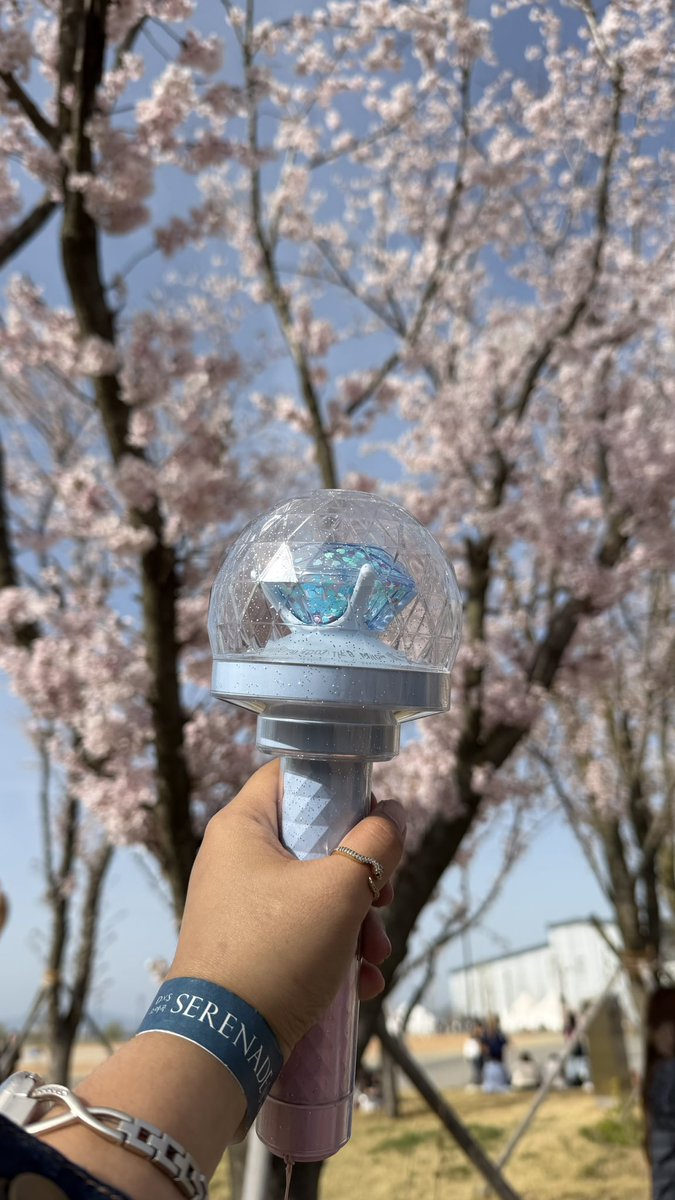 🐯🦦🌸 tweet media