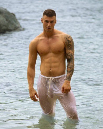 Max Size tweet media