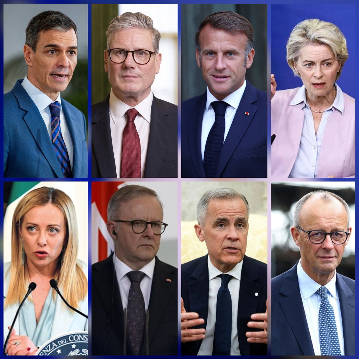 נועה מגיד | Noa magid tweet media