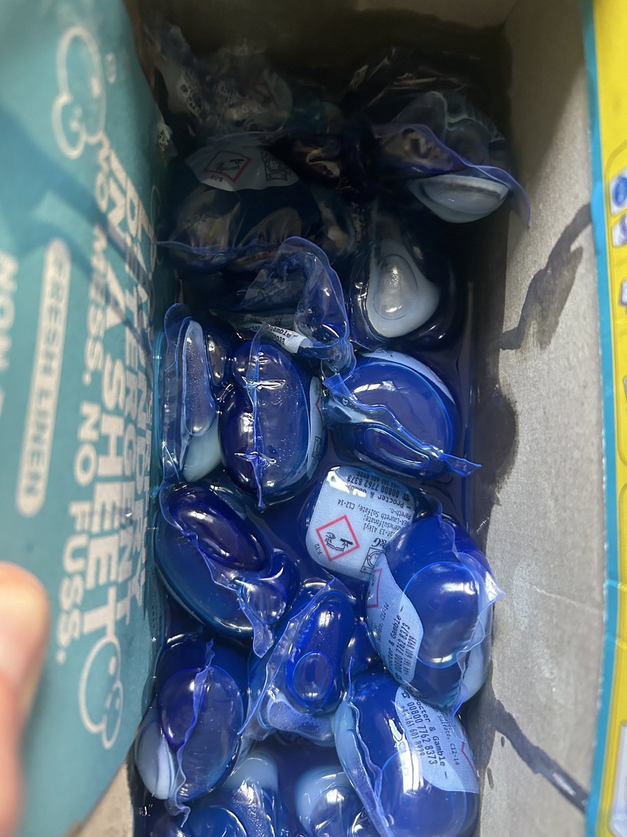 ju5tEmma's tweet photo. Has anyone else fairy pods just burst lately!!?? First time this has ever happened! The bottom is literally swimming https://t.co/0aRb1g9TGY