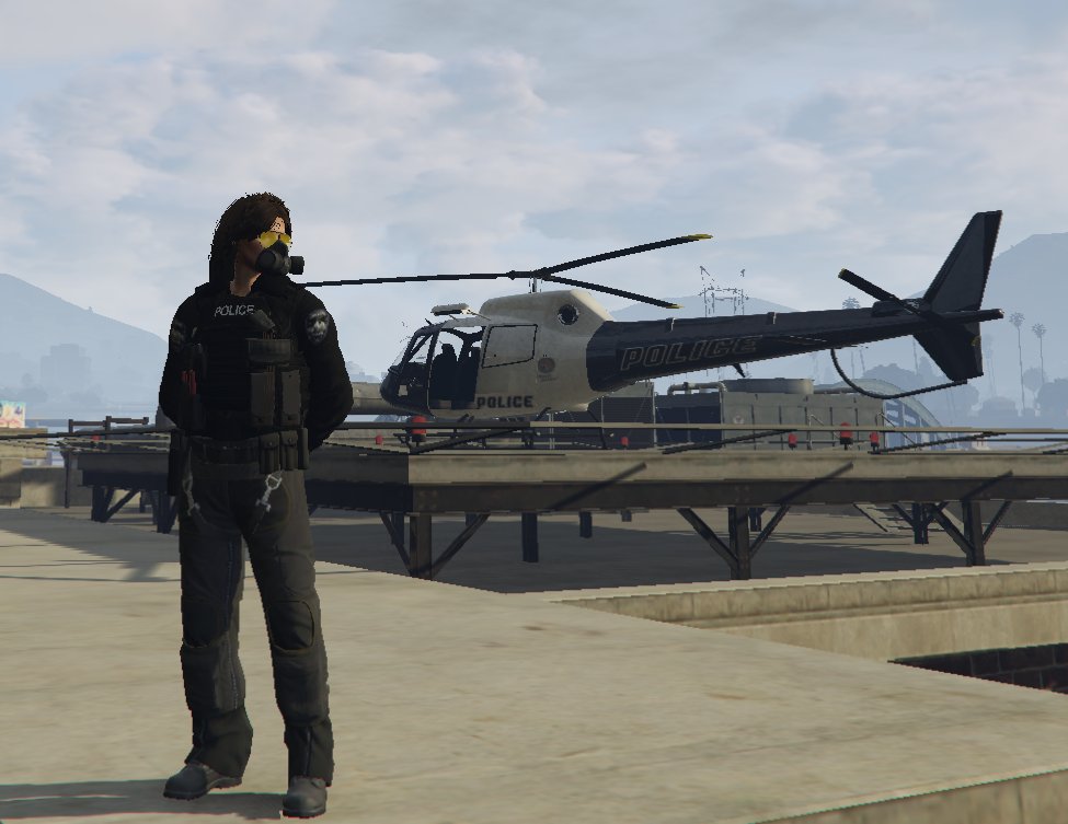 Bee2br 🐝💬 tweet media