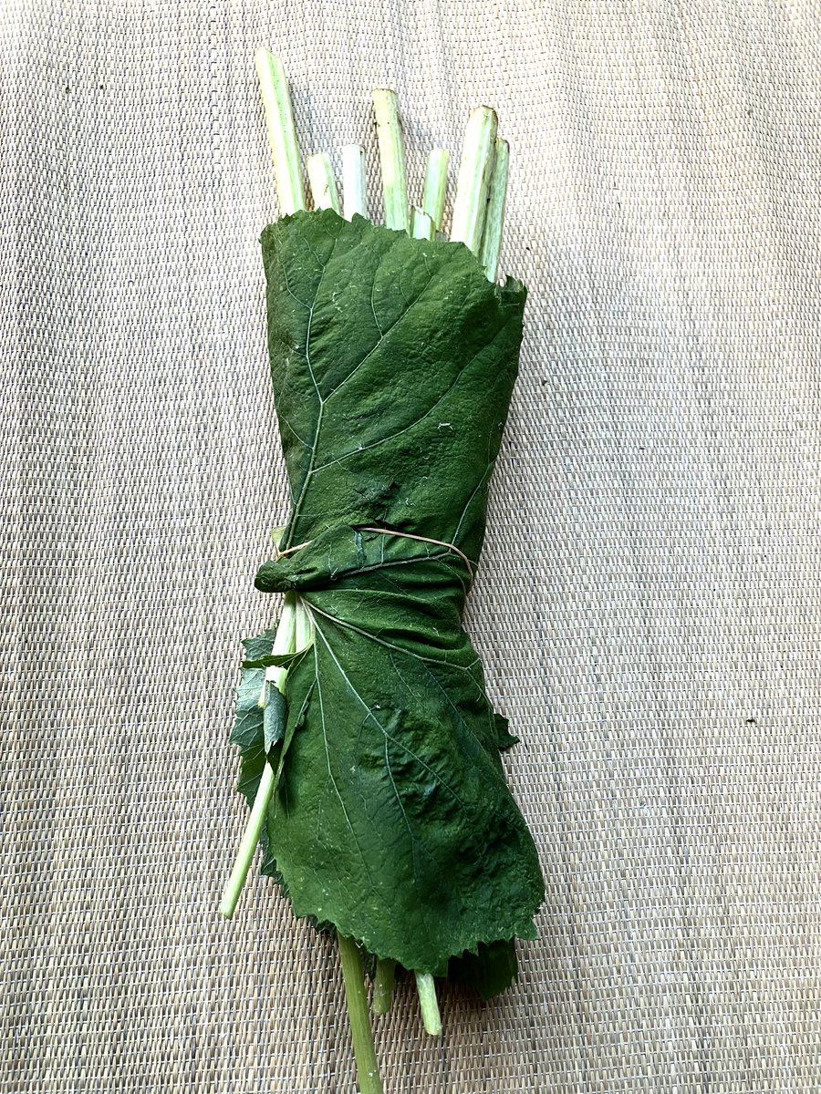 白川ラボ tweet media