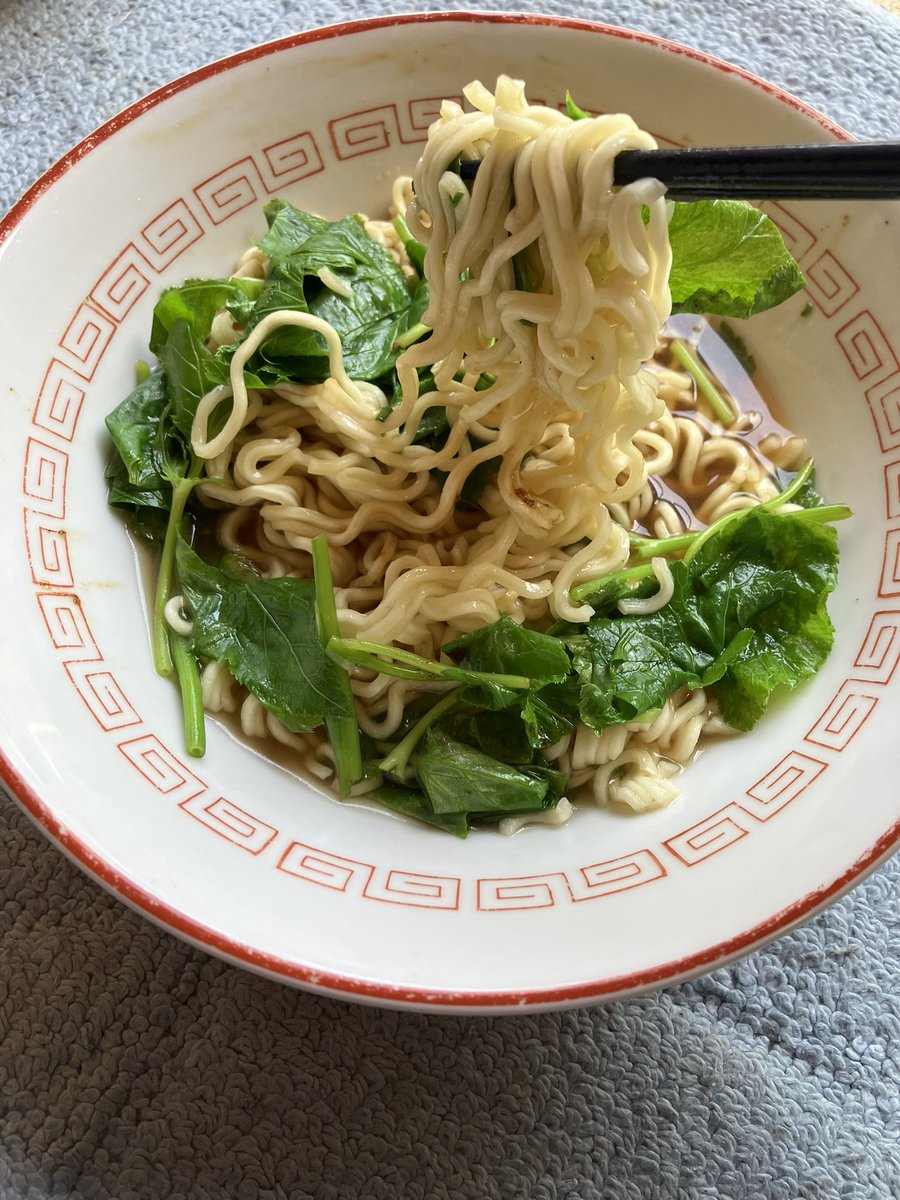 白川ラボ tweet media