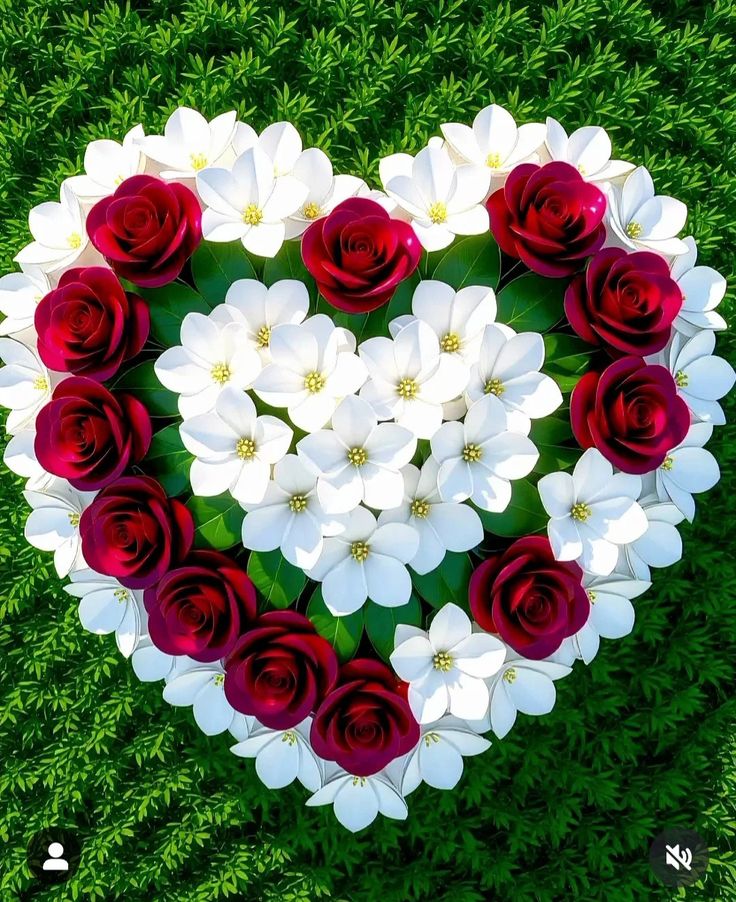Flowers (@abcd248069) on Twitter photo 