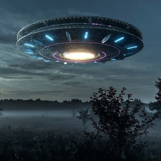 Anonymous tweet media