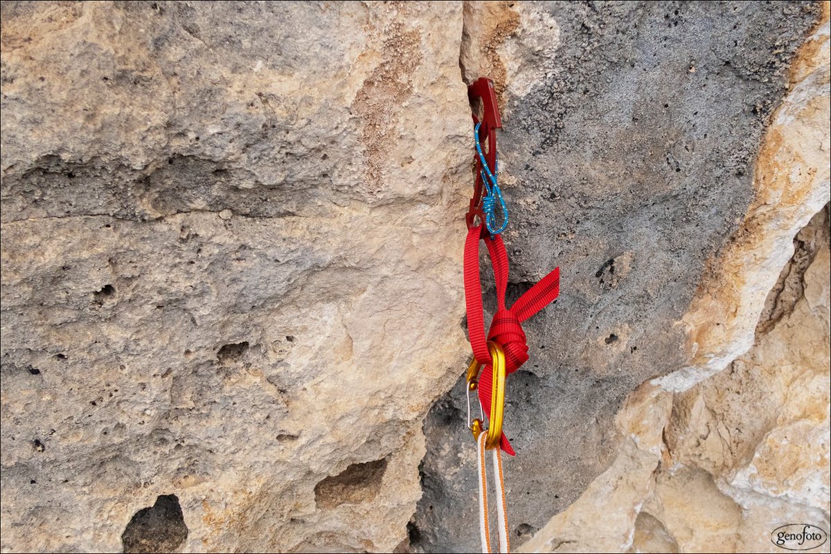 genofoto tweet media