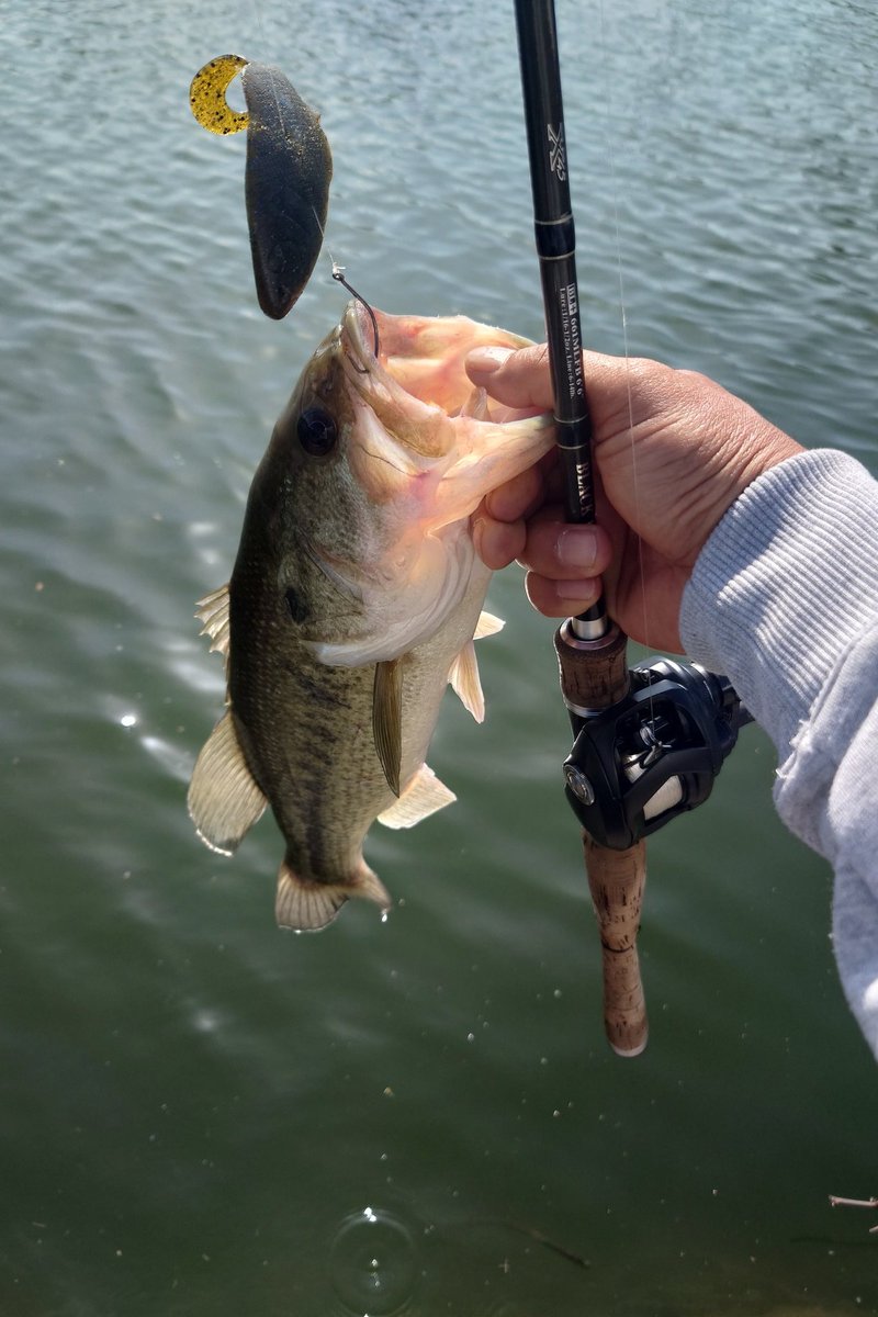 ⚡ きゅう ⚡ 【デカハネＧＰ】 tweet media