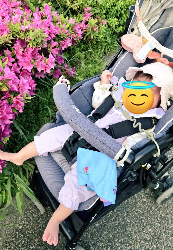 ピスケごはん🍽️ tweet media