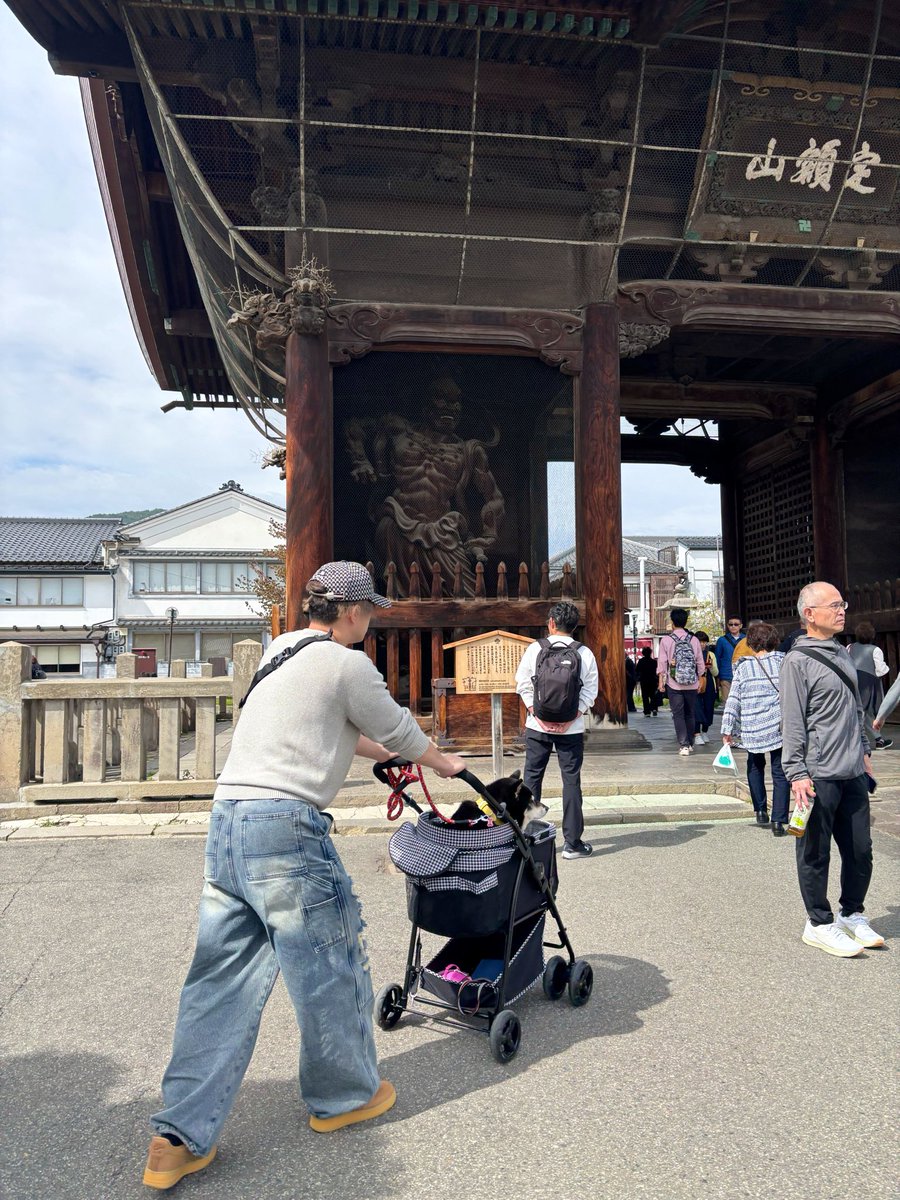 mikko325 tweet media