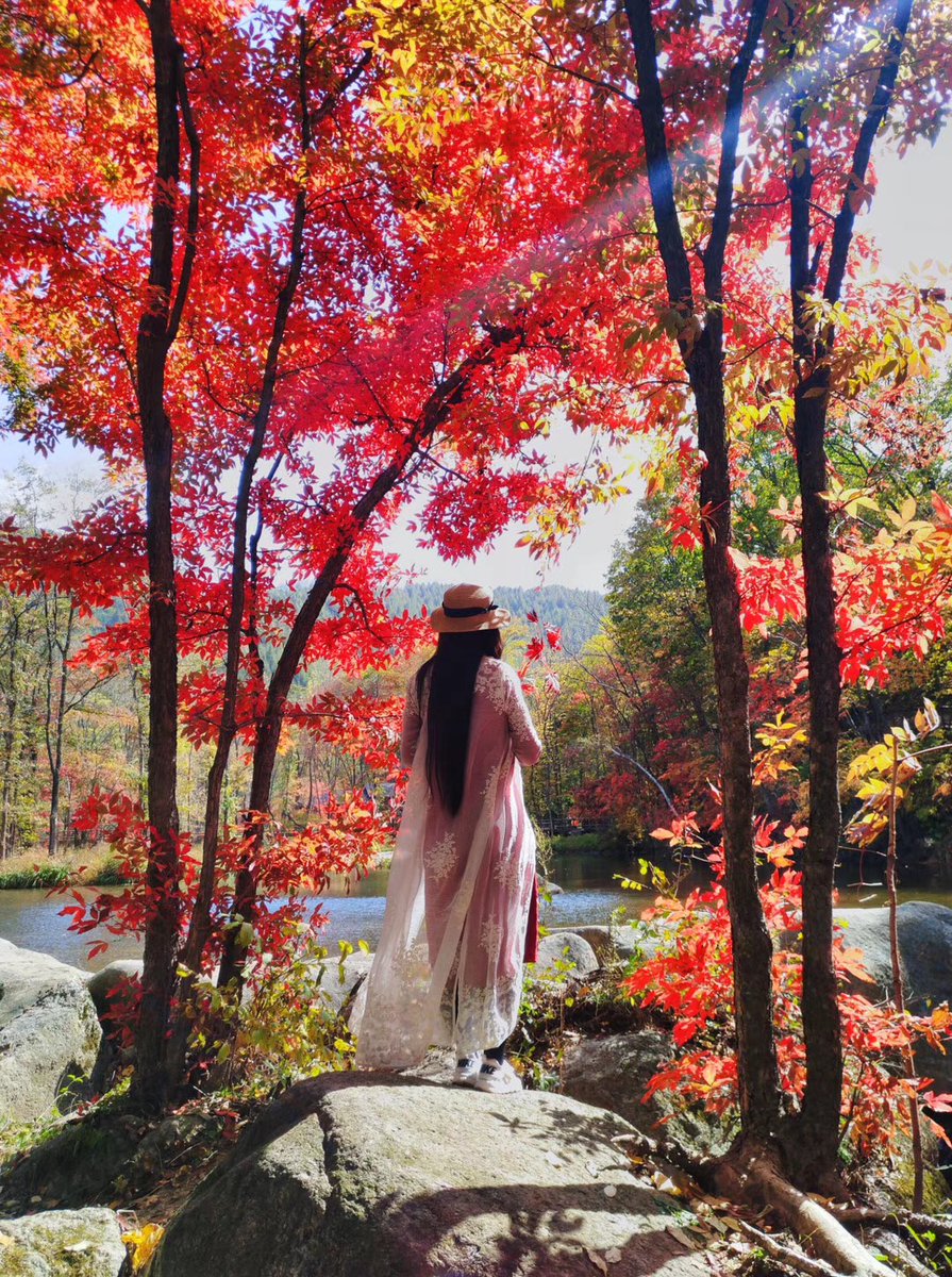 vovaaa_b's tweet image. Autumn breeze, golden leaves, cozy knits—nature’s warm goodbye to summer.  #FallVibes