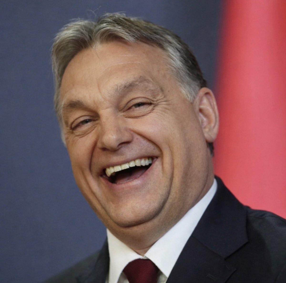 Georg Pazderski tweet media