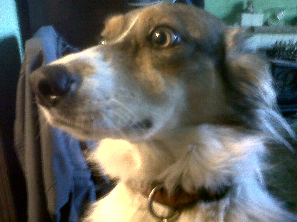 Robert Turner tweet media