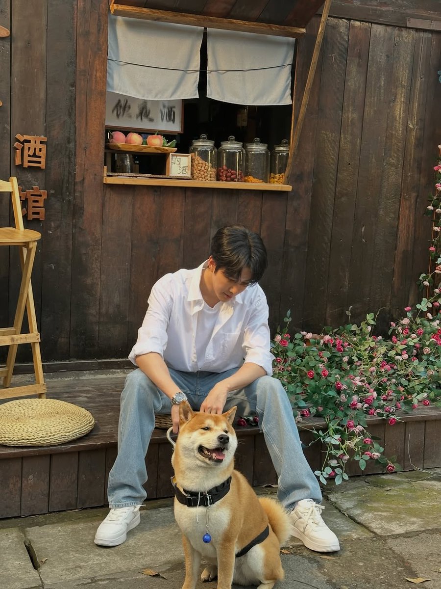 golfmikedotcom's tweet photo. เข้าฉายที่จีนแล้ว 🐕
#m1keangelo IG update
#NOBODYBUTYOU #nobodybutyouxmikeangelo
#mikeangelo #ไมค์พิรัชต์
#电影不能错过的只有你2 #不能错过的只有你2 https://t.co/m93cnitAjM
