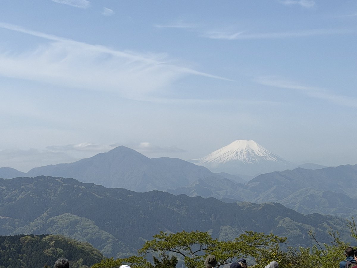 門脇☀️🐸🥕 tweet media