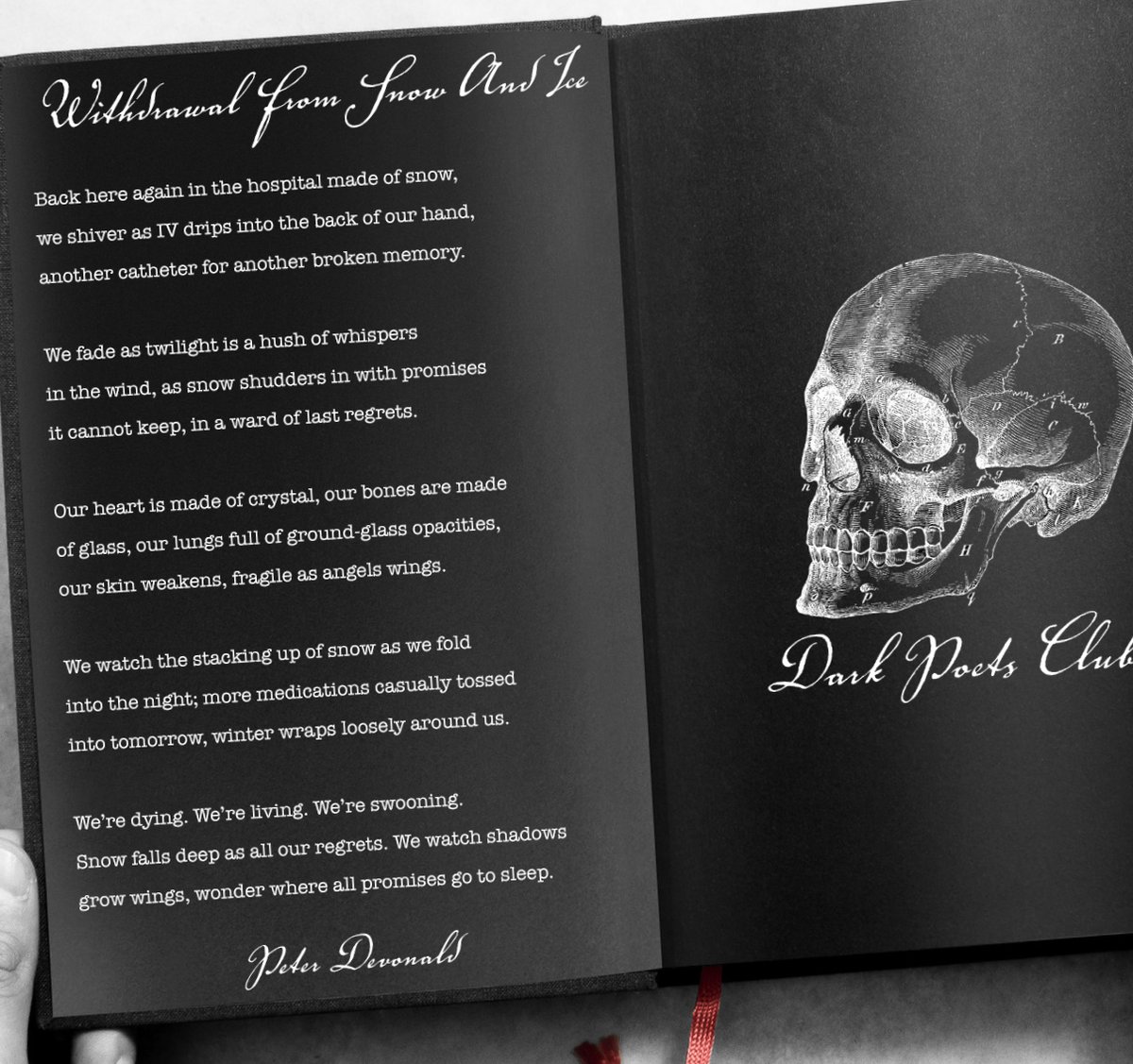 petedevonald's tweet image. Honourable mention in Dark Poets Prize IV

Huge thanks to the @darkpoetsclub 

#darkpoets #darkpoetry #poetrycommunity