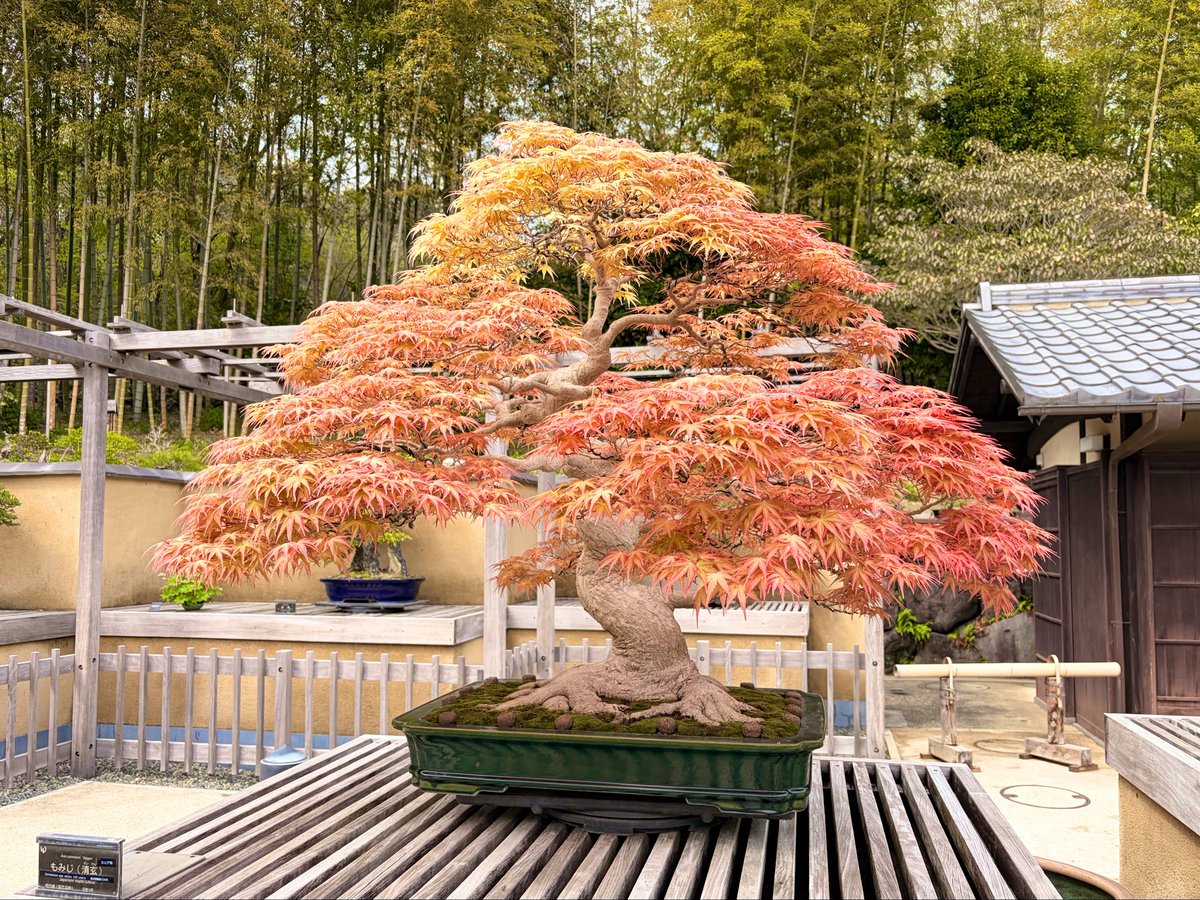 アール tweet media