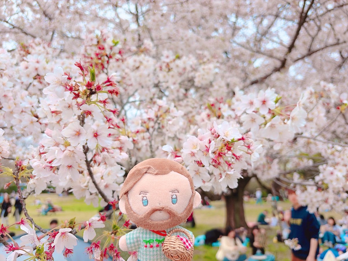 アール tweet media