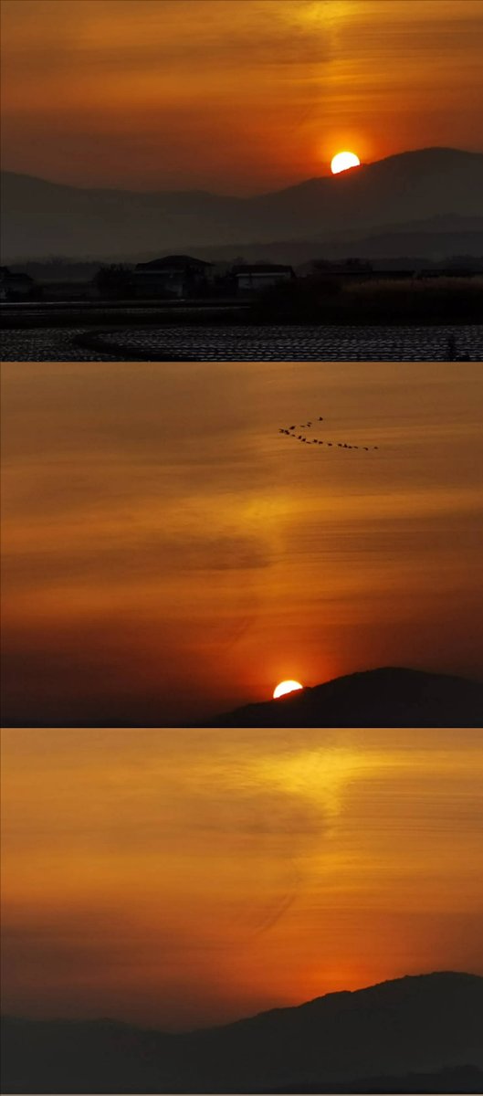 Anthony T tweet media