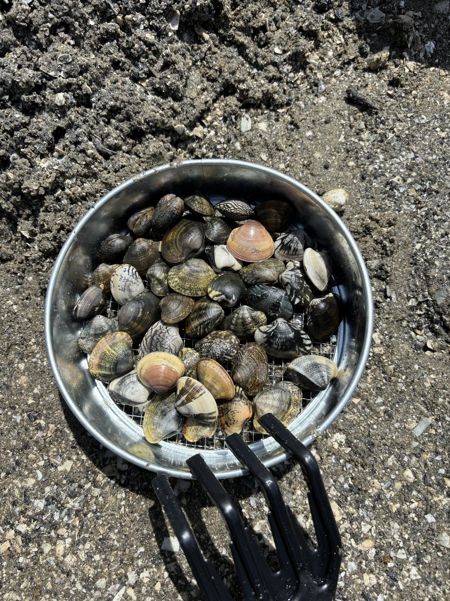 みそら@874* tweet media