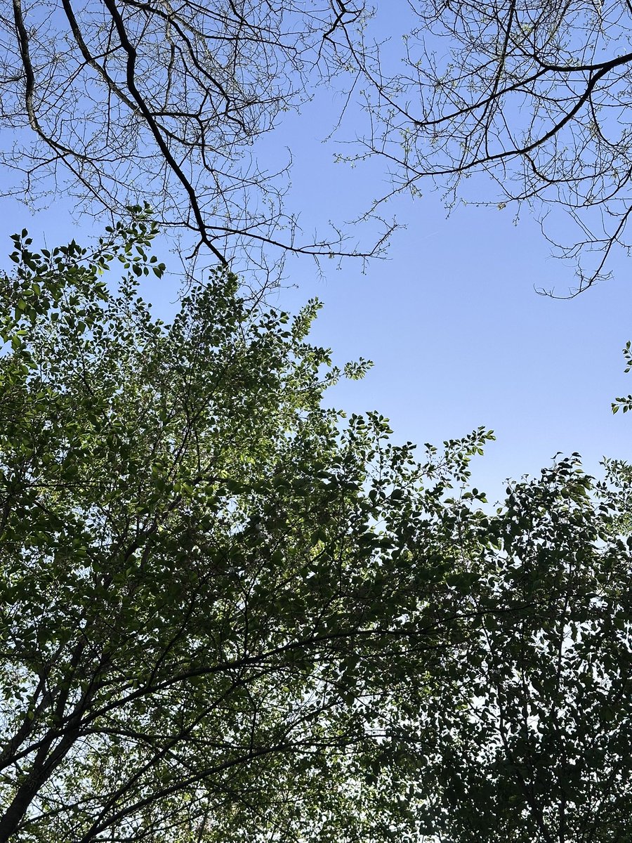 대롱쓰 tweet media