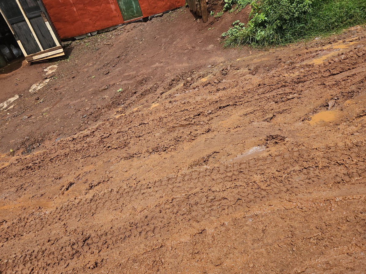 wja266814's tweet image. This is the road they'll use as a campaign push 🙄 for nxt elections...since the last election promise to fix this 🙄 
#muddy