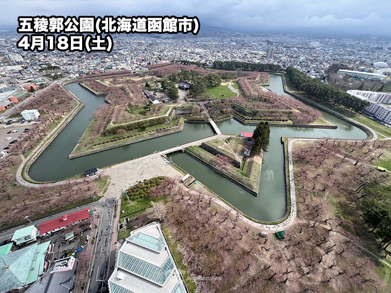wni_jp's tweet photo. 【札幌、函館、帯広で桜開花🌸】
今日4月18日(土)、札幌、函館、帯広の各地方気象台から開花発表がありました。3地点とも平年より10日以上早い開花です。また、函館と札幌が同日に開花するのは3年連続となります。
桜前線はいよいよ北海道に渡ったことになります。
https://t.co/PbuBwnIy93 https://t.co/Zv5ajiXfAy