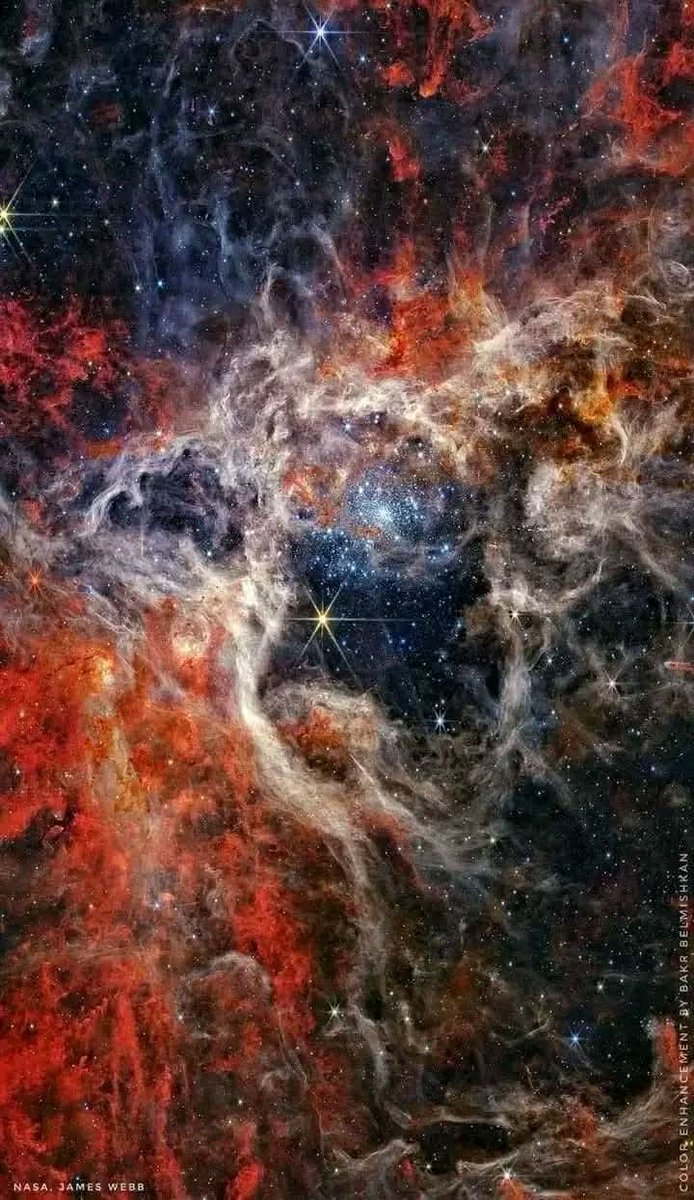 konstructivizm's tweet photo. JWST Unveils the Cosmic Tarantula — A Star-Birthing Monster in Infrared GloryDeep in the Large Magellanic Cloud, 161,000 light-years from Earth, lies one of the most intense star-forming regions in our cosmic neighborhood: the Tarantula Nebula (also known as 30 Doradus or NGC 2070).Captured by the James Webb Space Telescope ( JWST) in stunning near-infrared light with its NIRCam instrument, this mosaic spans a colossal 340 light-years across. What once appeared as hazy filaments now reveals its true nature — a chaotic nursery teeming with activity.Tens of thousands of never-before-seen young stars burst into view, many still embedded in dusty cocoons glowing red, while the most massive, hottest stars sparkle in pale blue at the heart of the nebula. Webb’s infrared vision pierces through the obscuring dust, exposing the raw ingredients of star formation and even distant background galaxies hidden behind the cosmic web.The intricate filaments and glowing gas resemble the hairy legs and silk-lined burrow of a giant tarantula — hence its famous nickname. This is no quiet corner of space; it’s one of the most violent and productive stellar factories known, home to some of the most massive stars in the local universe.A breathtaking reminder of how JWST is rewriting our understanding of how stars are born, live, and shape their surroundings.