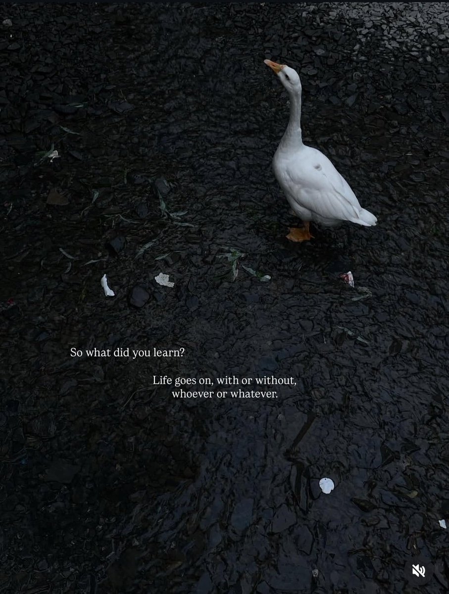 JugularWriters's tweet image. Slide 3 is our favourite 🤣🙉 Here is the playlist of content that inspired us this week 😉

Credit in order:

@underthe_.sky
@theadorablelove
@brokenthoughts143
@ashleighpetrovic

Which one of them resonated with you? Let us know in the comments below. 

#quotes #weekend #writer