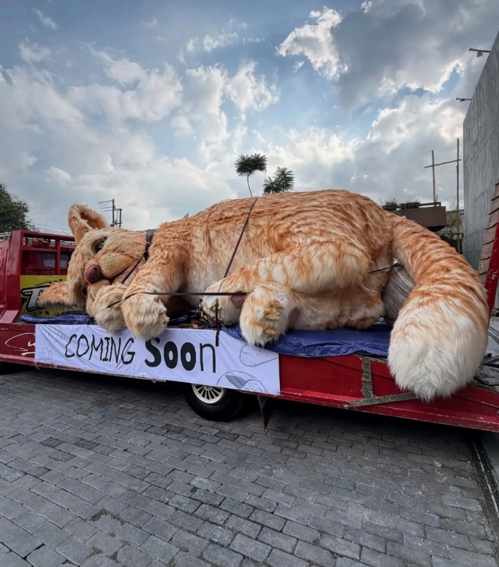 𝐒atoru tweet media