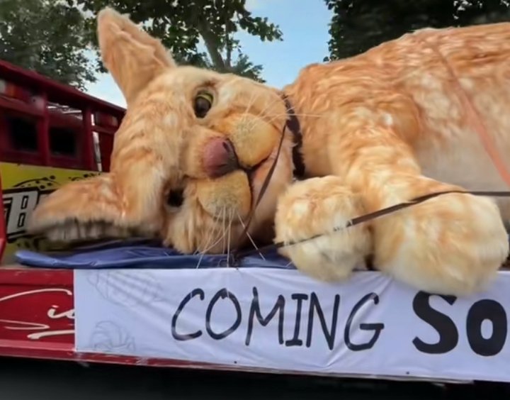 𝐒atoru tweet media