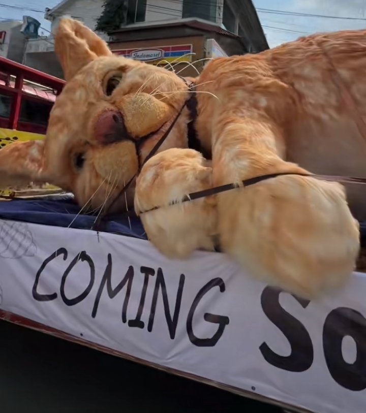 𝐒atoru tweet media