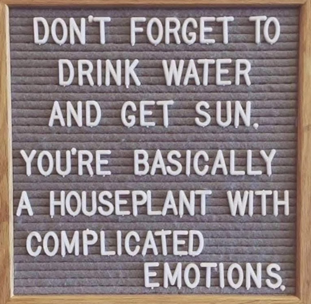 Markshark26's tweet image. Morning all ☀️ have a super Saturday 😀❤️