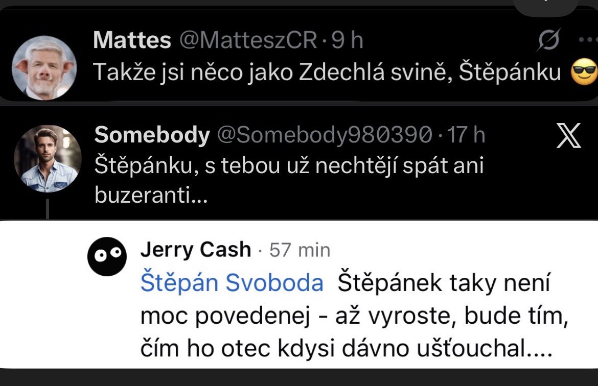 Štěpán Svoboda tweet media