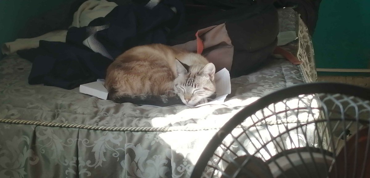 Agatha que coño haces durmiendo en los concept arts de mi sona