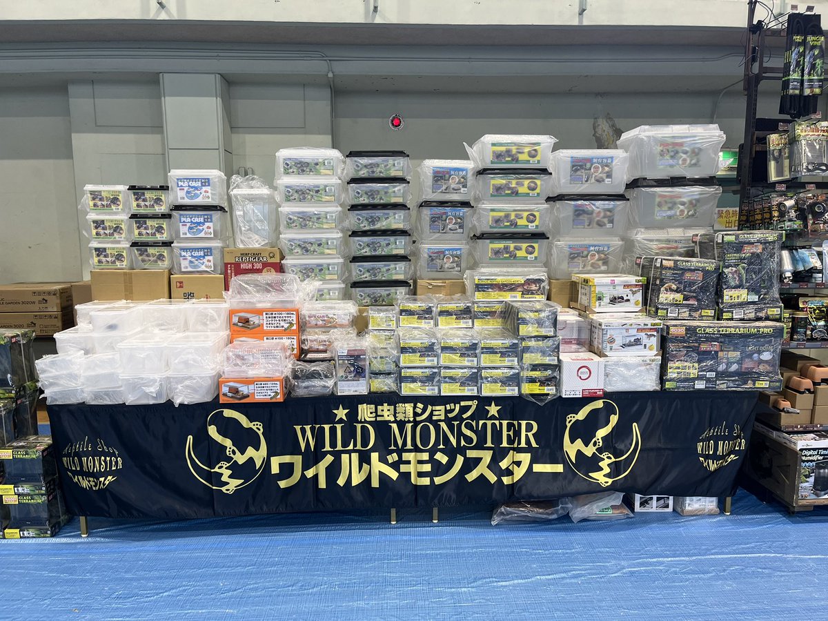 爬虫類ショップ WildMonster tweet media