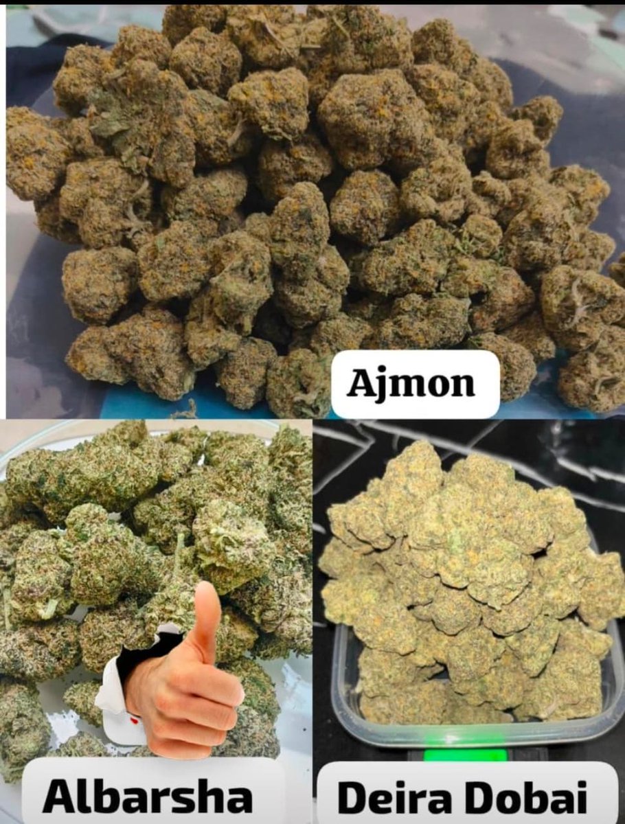 WQatar68364's tweet image. Whatsapp +923328939034
Available weed American hybrid delivery fast 
#Dubai 
#albrsha 
#AbuDhabiGP 
#Sharjah24 
#alqoz
#alnhda 
#diradubai 
#alkarama 
#Dip
#musaffa
Available all stuff all dubai delivery everytime fast 💯 fast trust possible 2g only for trust 💯