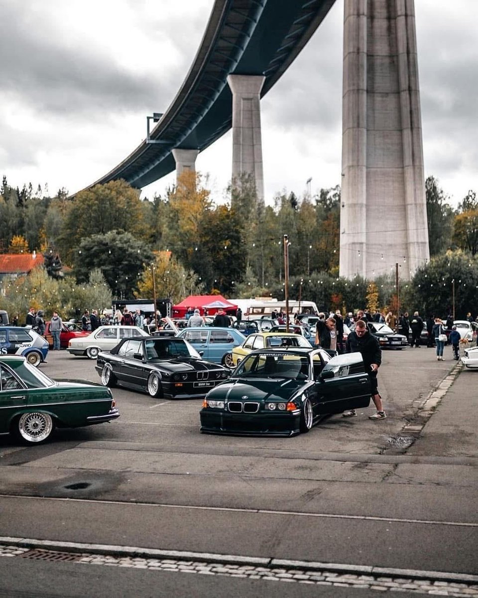 Drey 248 tweet media