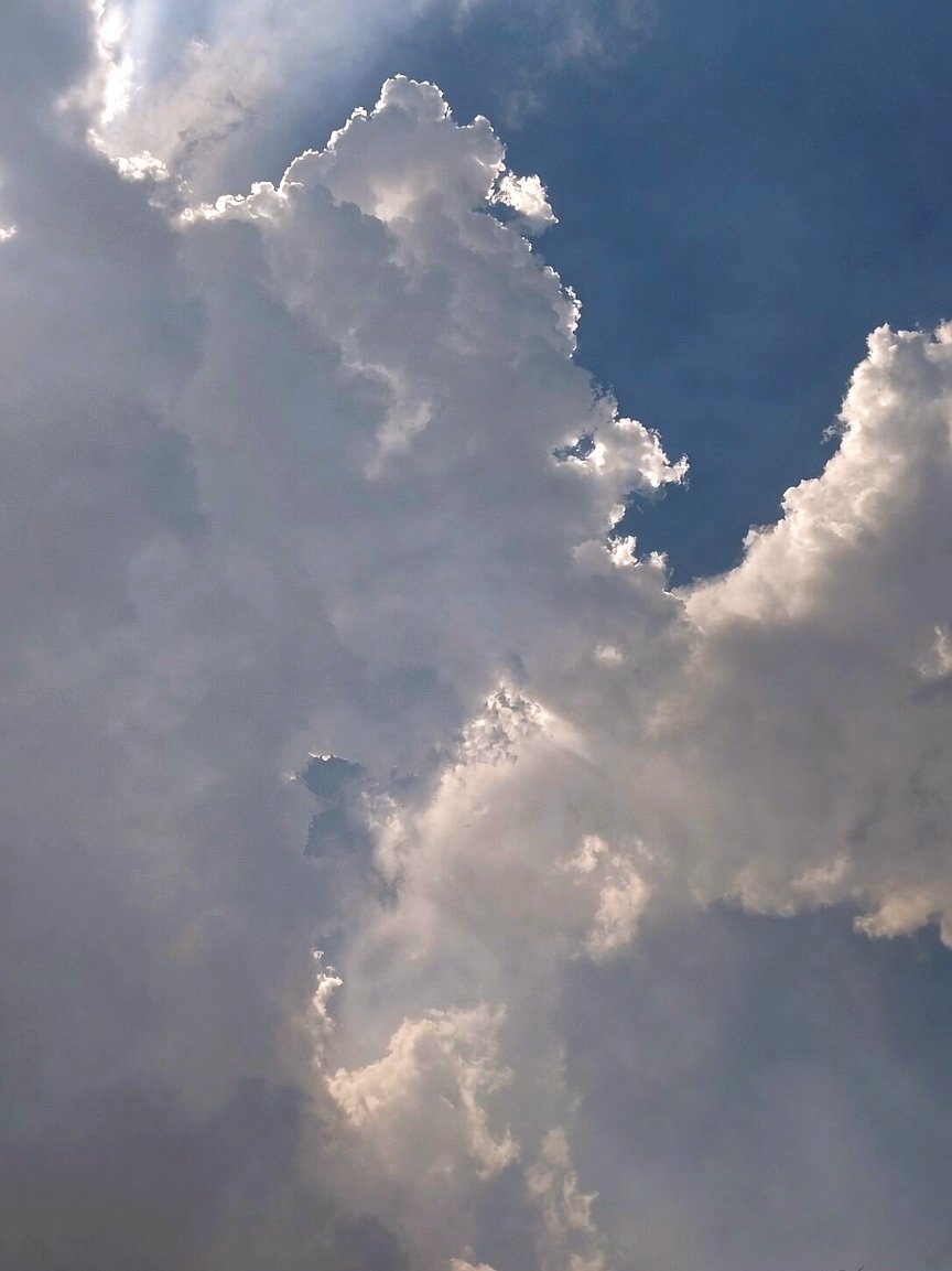 Hyderabad Rainfall Alerts tweet media