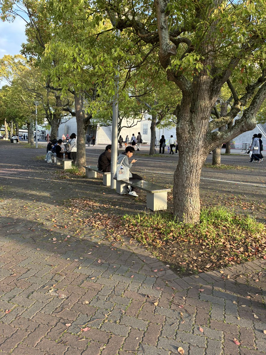 かるぼ tweet media