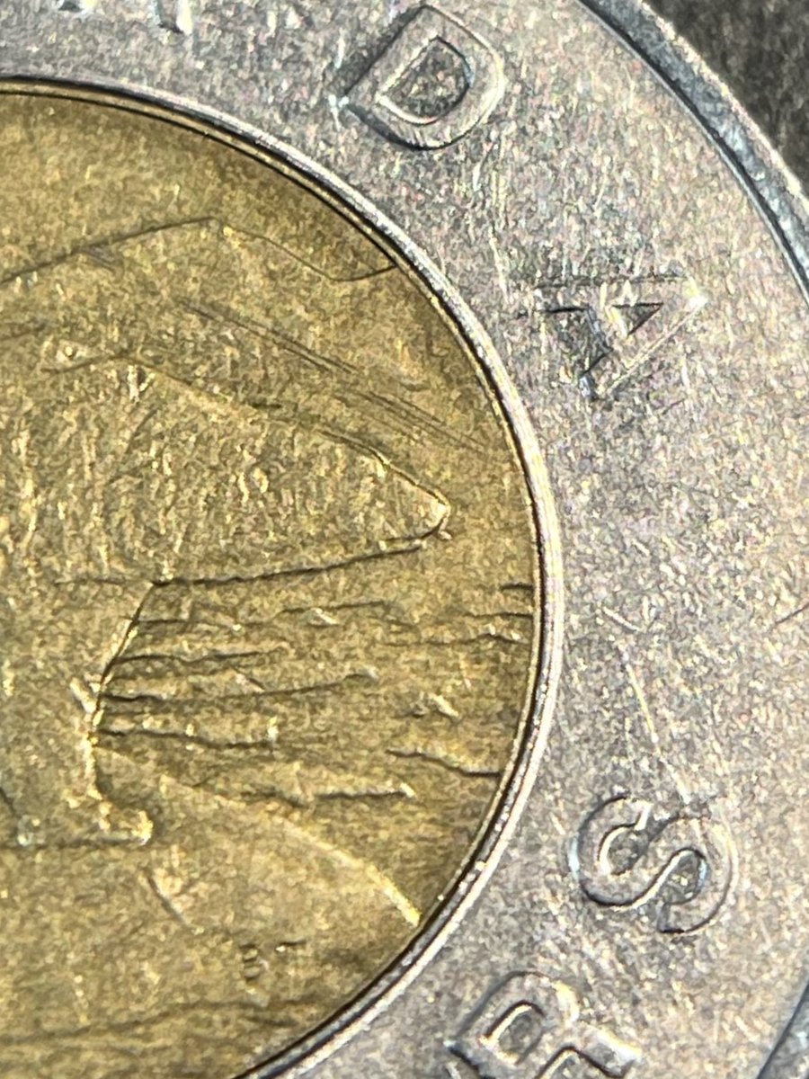 ヨコワ tweet media