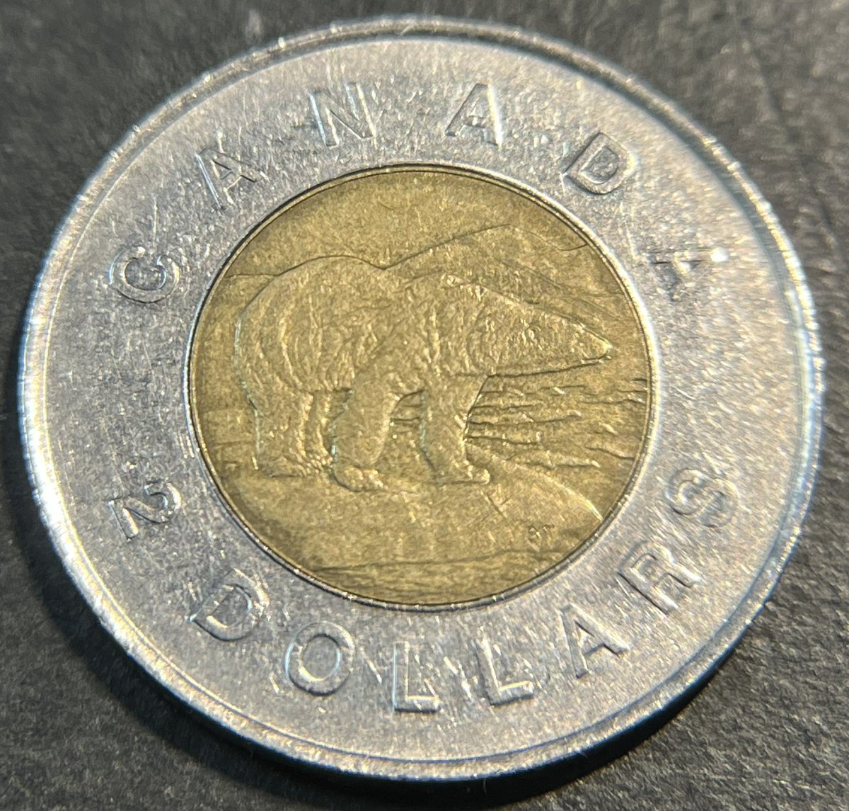 ヨコワ tweet media