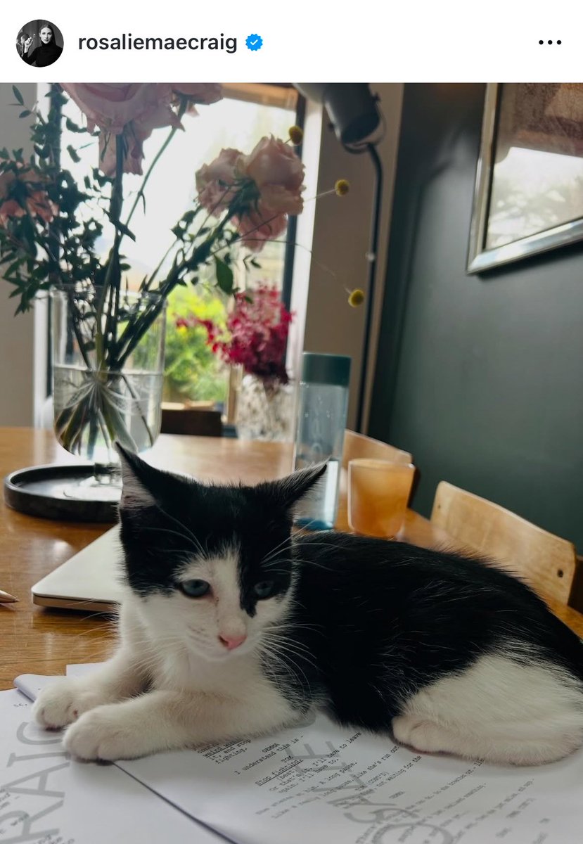 emily 🫧 tweet media