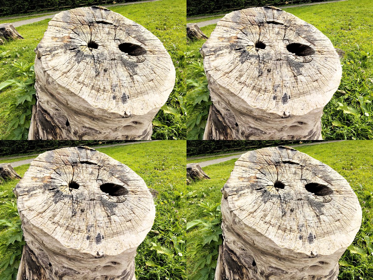 Parth3D's tweet image. Well I'm stumped by this one 😵‍💫
#3D #stereoscopic