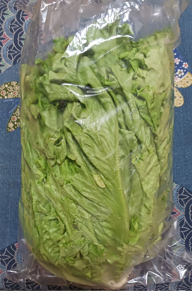 風来坊 tweet media
