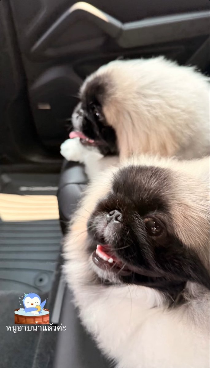 muffinp🧁 tweet media