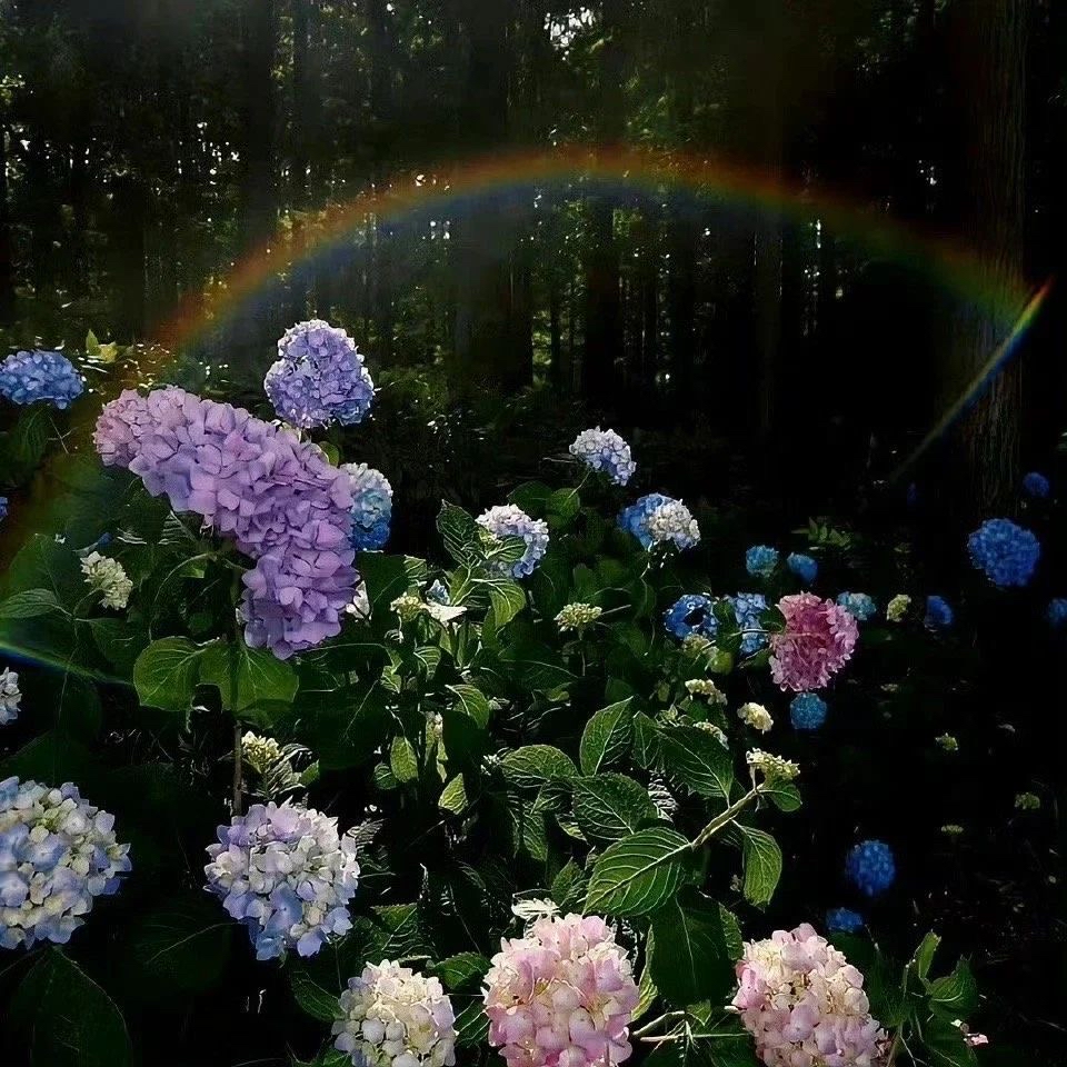 MANUEL  SILVA tweet media