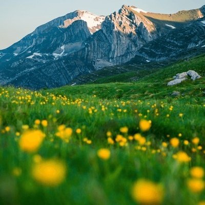 Natureipr's tweet photo. Today wether is so awesome ☺️ https://t.co/1mKBn08wE1