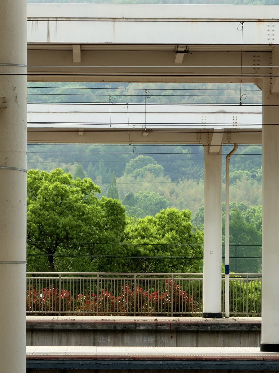 什么灯 tweet media