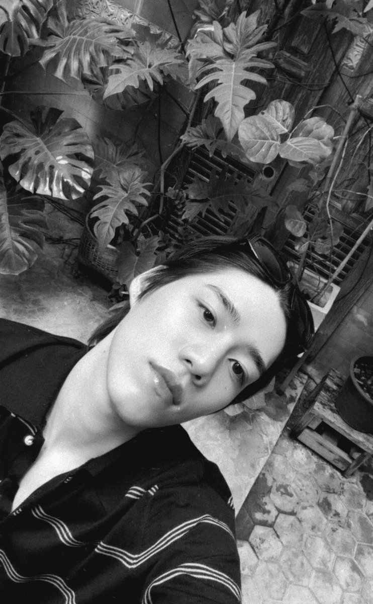 ยิบบิ้น tweet media