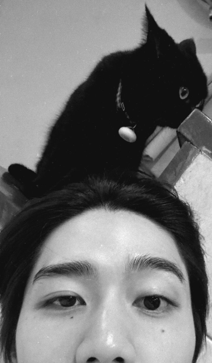 ยิบบิ้น tweet media